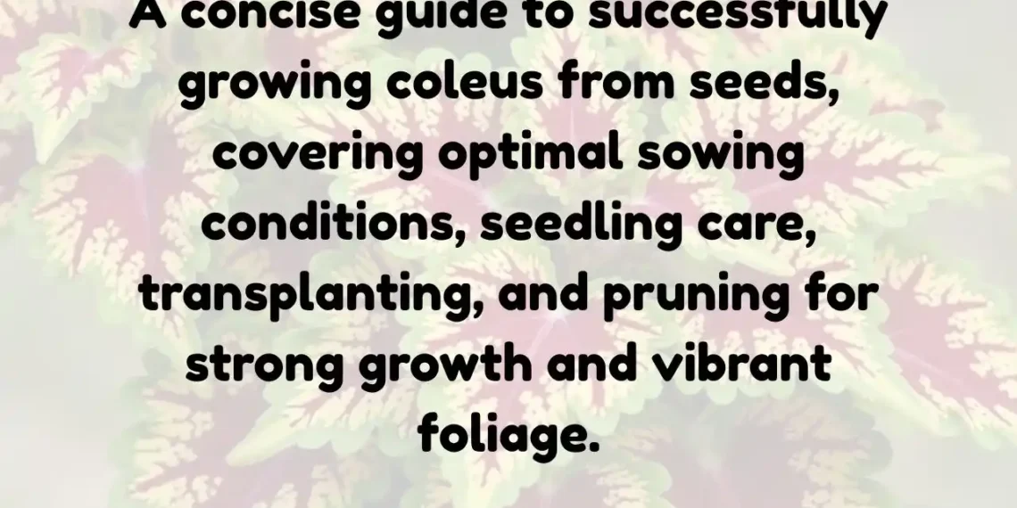 How to Grow Coleus from Seeds at Home: A Complete Beginner’s Guide