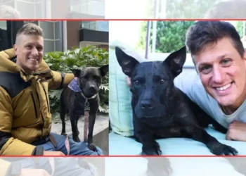 Paul Coningham, who discovered a cancer vaccine on ChatGPT to save his pet dog!